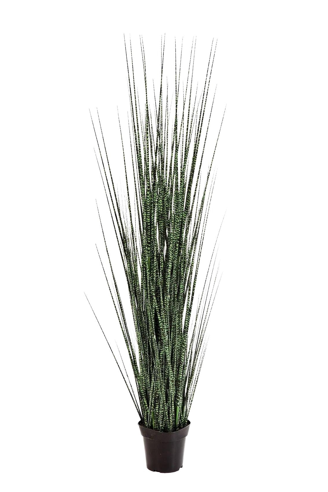 Herbe artificielle - Zèbre | 120 cm