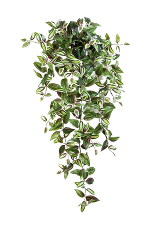 Herbe artificielle des marais 65 cm - Herbe artificielle - Artiplantes