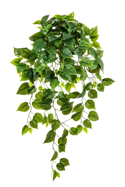 Künstliche Hänge-Monstera - Barbara, 85 cm, Kunstpflanze von aplanta, Steckpflanze, in Natur, für drinnen