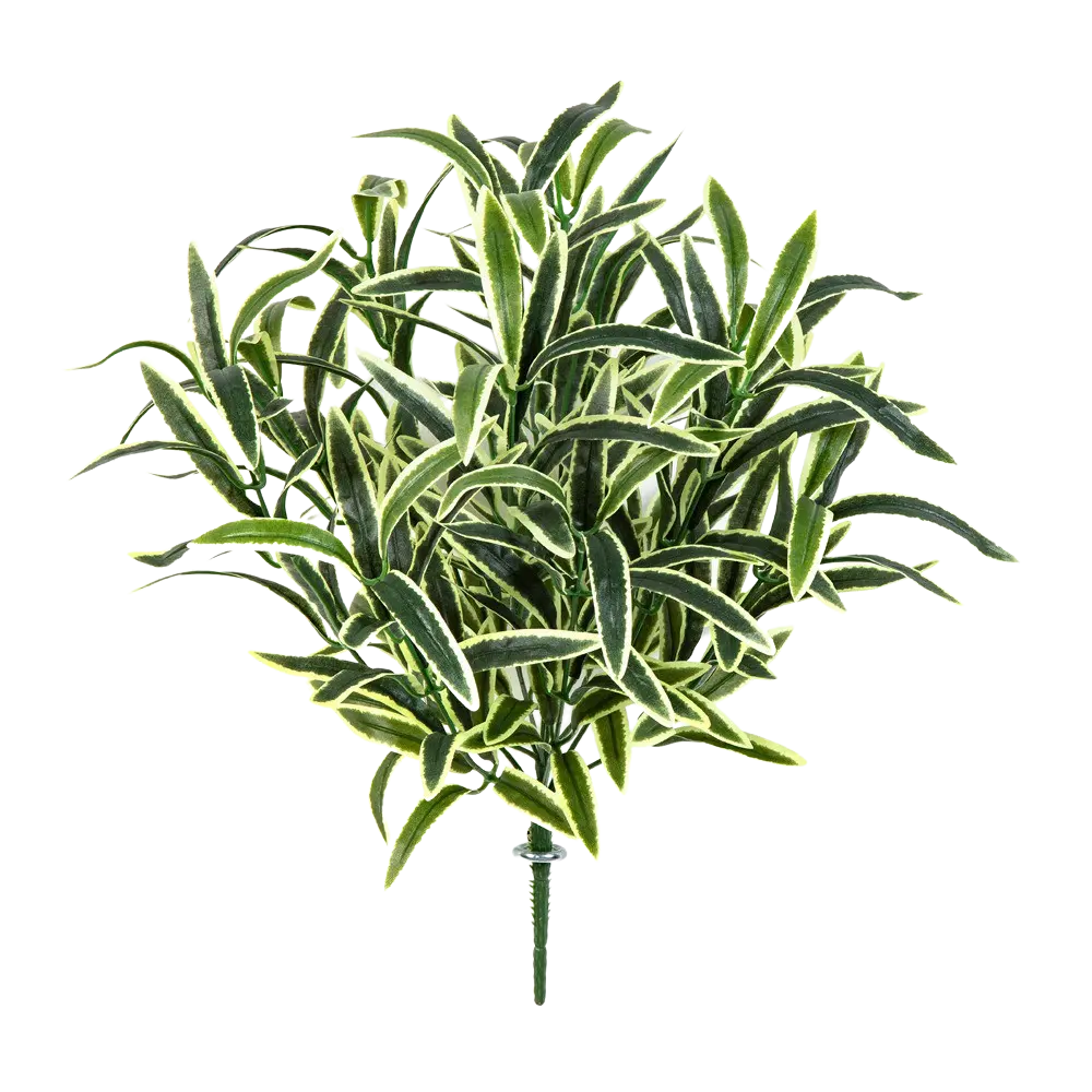 Künstliche Grünlilie - Beren | 40 cm auf transparentem Hintergrund mit echt wirkenden Kunstblättern in natürlicher Anordnung. | aplanta Kunstpflanzen