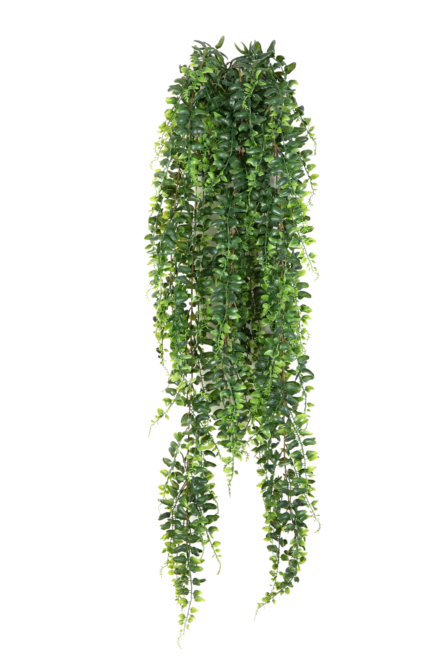 Hochwertige künstliche Hängepflanze auf transparentem Hintergrund mit echt wirkenden Kunstblättern in natürlicher Anordnung. Künstlicher Schwertfarn - Elisabeth hat die Farbe Natur und ist 100 cm hoch. | aplanta Kunstpflanzen