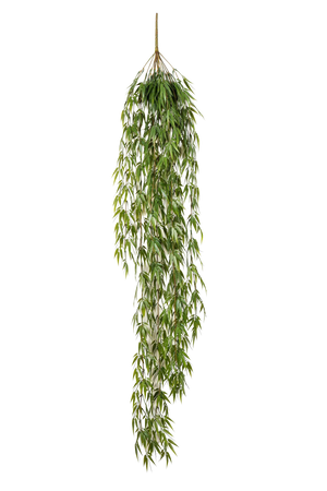 Hochwertiger Kunstbambus auf transparentem Hintergrund mit echt wirkenden Kunstblättern in natürlicher Anordnung. Künstlicher Hänge-Bambus - Emely hat die Farbe Natur und ist 115 cm hoch. | aplanta Kunstpflanzen