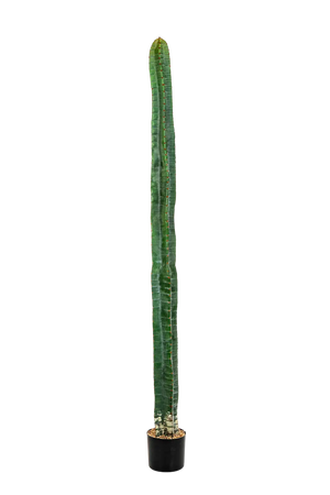 Cactus artificiel - Henning | 180 cm