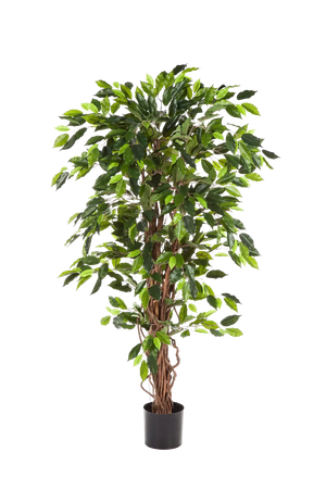 Künstliche Feige - Issa, 150 cm, Kunstbaum von aplanta, in Natur, für drinnen
