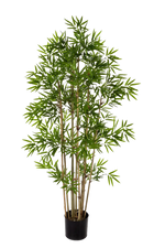 Künstlicher Bambus - Lotta, 200 cm, Kunstbaum von aplanta, mit Echtholzstamm, in Natur, für drinnen