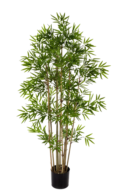 Künstlicher Bambus - Lotta, 200 cm, Kunstbaum von aplanta, mit Echtholzstamm, in Natur, für drinnen