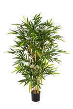 Hochwertiger Kunstbambus auf transparentem Hintergrund mit echt wirkenden Kunstblättern in natürlicher Anordnung. Künstlicher Bambus - Melina hat die Farbe Natur und ist 240 cm hoch. | aplanta Kunstpflanzen