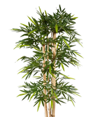 Künstlicher Bambus - Martha | 210 cm