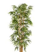 Künstlicher Bambus - Marlon | 240 cm