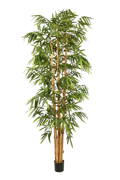 Künstlicher Bambus - Marlon, 240 cm, Kunstbaum von aplanta, mit Echtholzstamm, in Natur, für drinnen