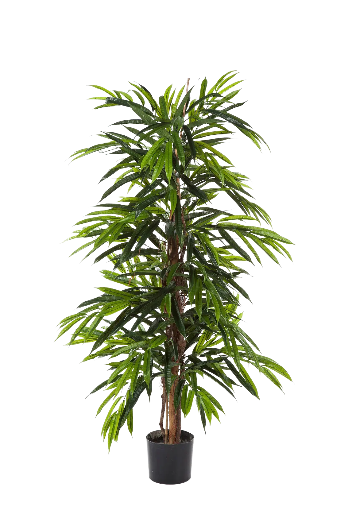 Longifolia artificiel - Maurice | 180 cm