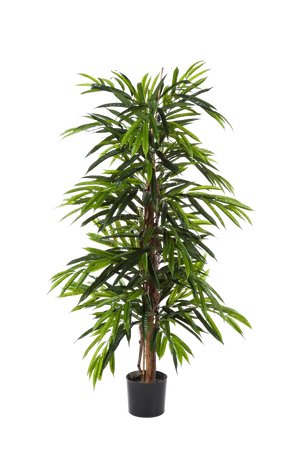 Longifolia artificiel - Maurice | 180 cm