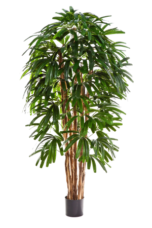 Palmier artificiel - Nicole | 150 cm