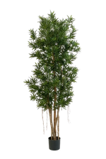 Künstlicher Podocarpus Reflexa- Paul, 180 cm, Kunstbaum von aplanta, in Natur, für drinnen