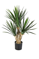 Künstliche Yucca Palme - Stefan, 68 cm, Kunstbaum von aplanta, in Natur, für drinnen