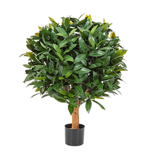 Künstlicher Lorbeer - Tessa auf transparentem Hintergrund mit echt wirkenden Kunstblättern. Diese Kunstpflanze gehört zur Gattung/Familie der "Lorbeeren" bzw. "Kunst-Lorbeeren".