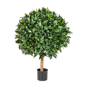 Künstlicher Lorbeer - Tessa auf transparentem Hintergrund mit echt wirkenden Kunstblättern. Diese Kunstpflanze gehört zur Gattung/Familie der "Lorbeeren" bzw. "Kunst-Lorbeeren".