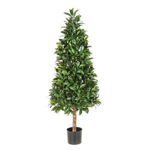 Künstlicher Lorbeer - Tamina auf transparentem Hintergrund mit echt wirkenden Kunstblättern. Diese Kunstpflanze gehört zur Gattung/Familie der "Lorbeeren" bzw. "Kunst-Lorbeeren".