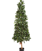 Künstliche Lorbeer - Teresa auf transparentem Hintergrund mit echt wirkenden Kunstblättern in natürlicher Anordnung. Künstliche Lorbeer - Teresa hat die Farbe Natur und ist 110 cm hoch. | aplanta Kunstpflanzen