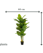 Dieffenbachia artificiel - Milena | 175 cm