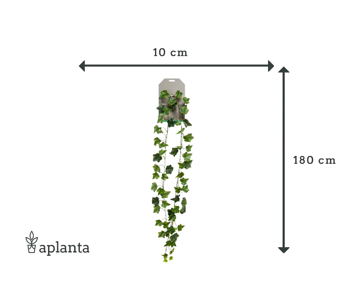 Guirlande de lierre artificielle - Joline | 180 cm