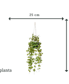 Fleur artificielle suspendue - Konrad | 40 cm