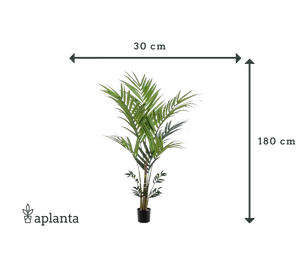 Palmier Kentia artificiel - Nathalie | 180 cm