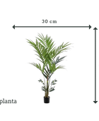 Palmier Kentia artificiel - Nathalie | 180 cm