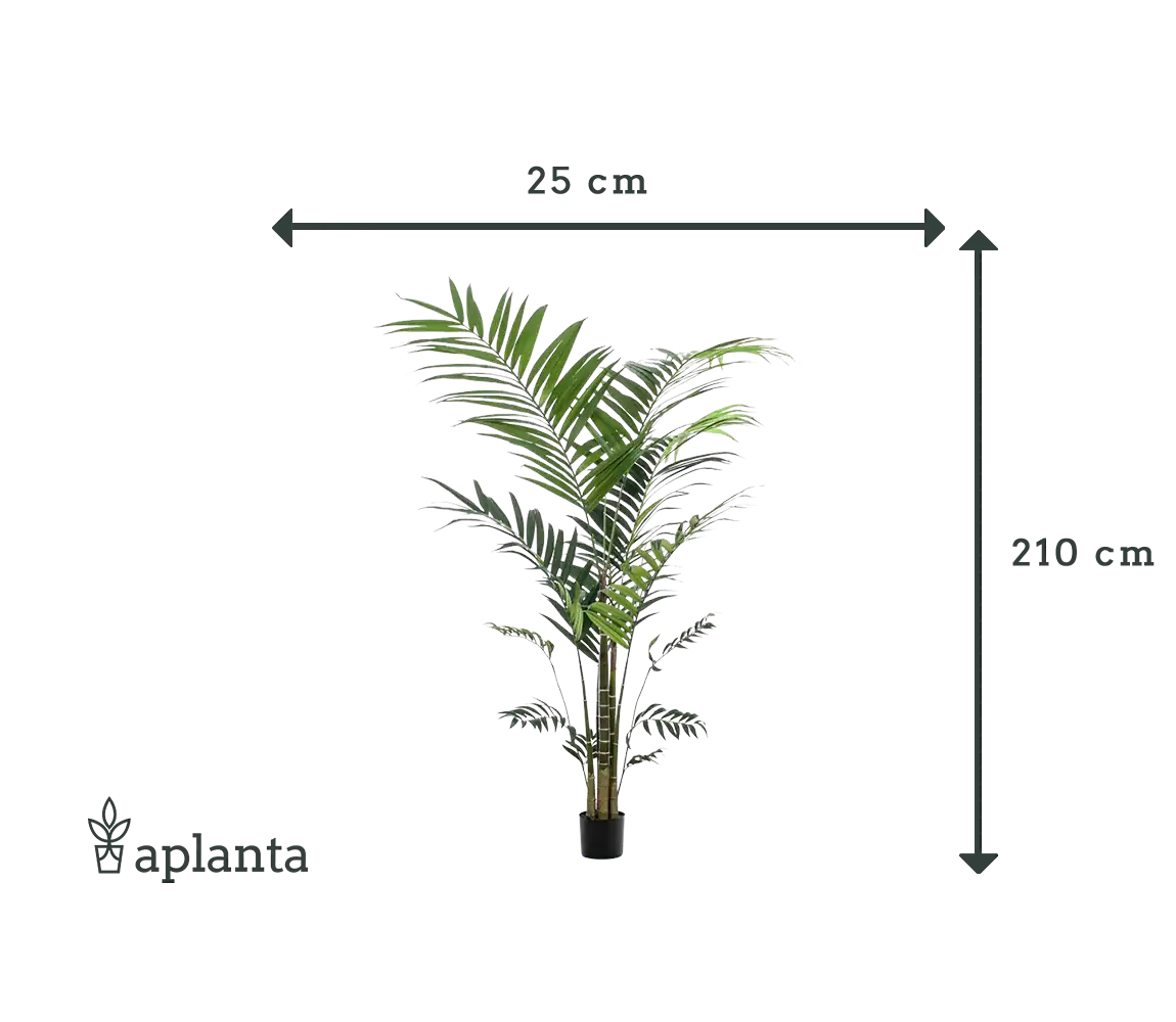 Palmier Kentia artificiel - Nathalie | 210 cm