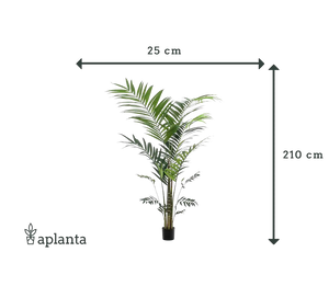 Palmier Kentia artificiel - Nathalie | 210 cm