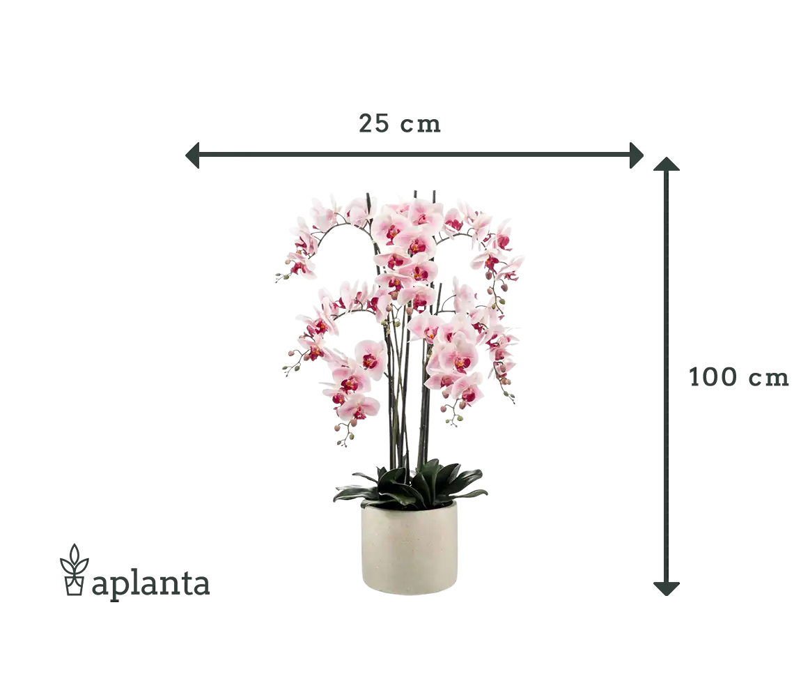 Orchidée artificielle - Leo | 100 cm