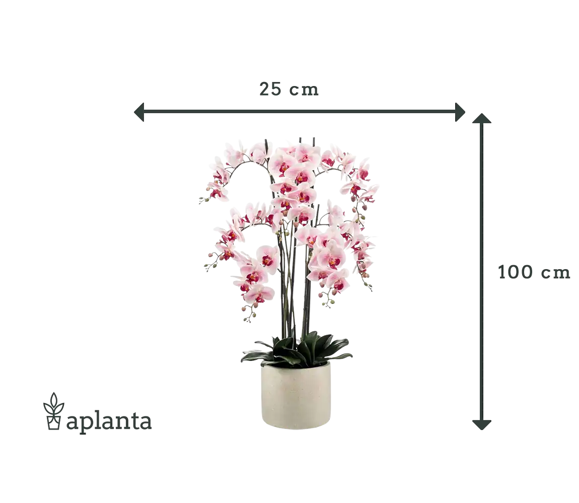 Künstliche Orchidee - Leo | 100 cm