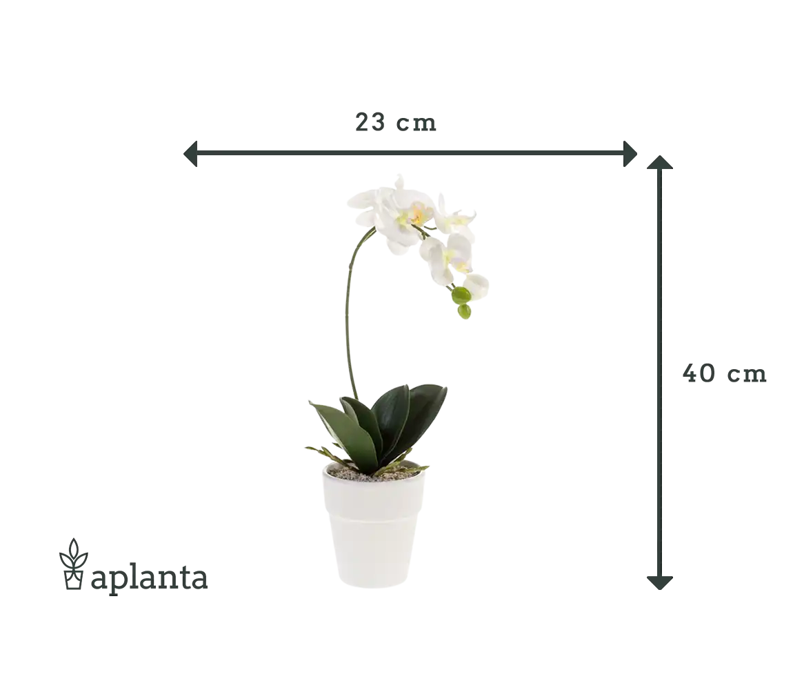 Orchidée artificielle - Linus | 40 cm