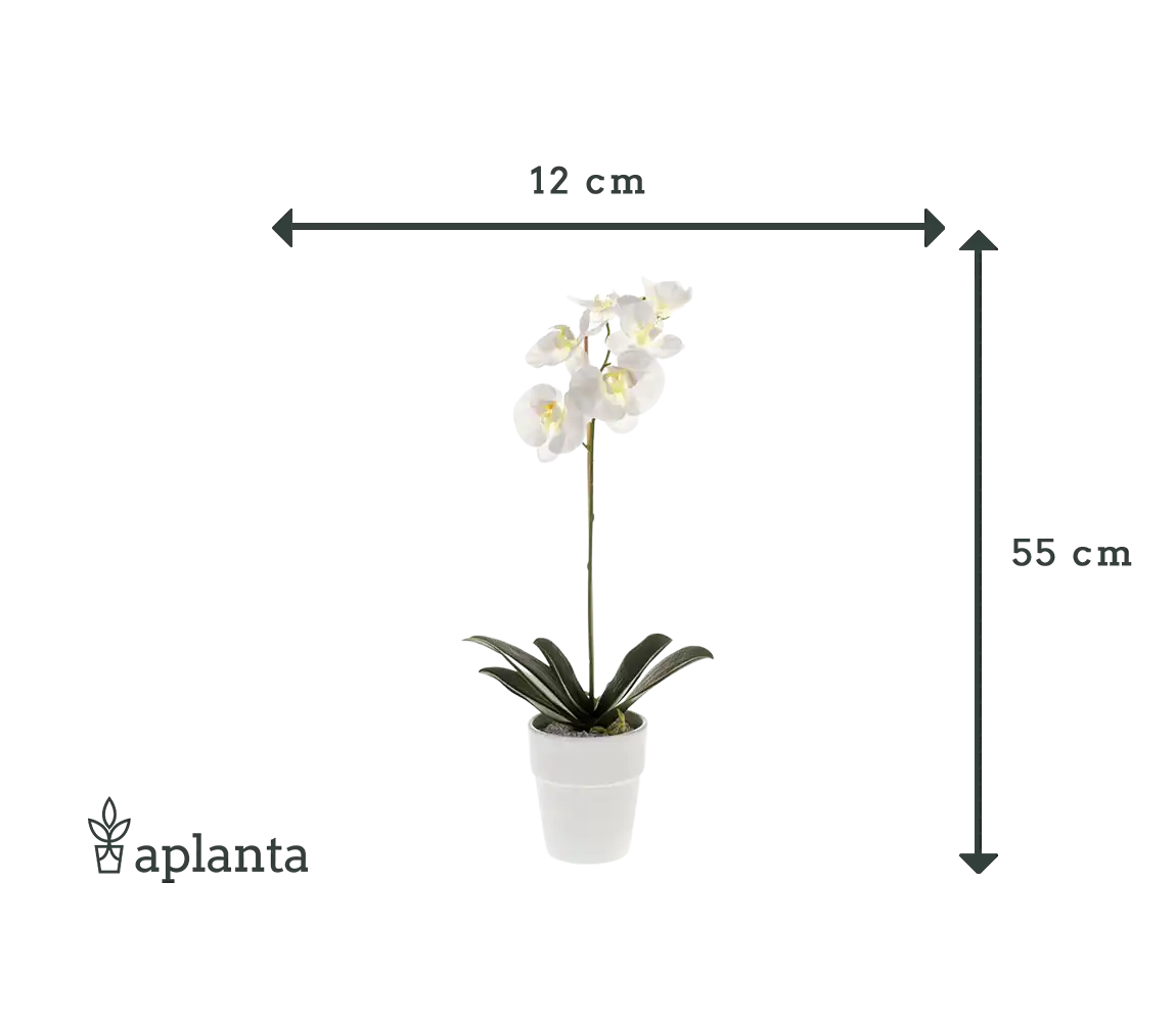 Orchidée artificielle - Linus | 55 cm