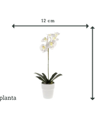 Orchidée artificielle - Linus | 55 cm