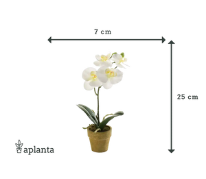 Orchidée artificielle - Louisa | 25 cm