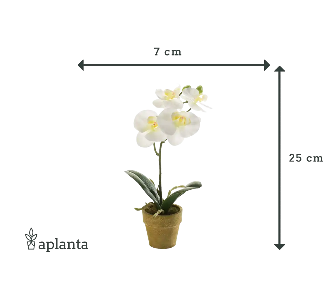 Orchidée artificielle - Louisa | 25 cm