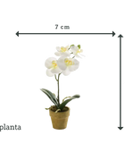 Orchidée artificielle - Louisa | 25 cm