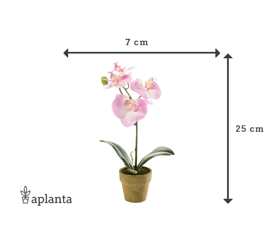 Orchidée artificielle - Lynn | 25 cm
