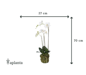 Orchidée artificielle - Marie | 70 cm