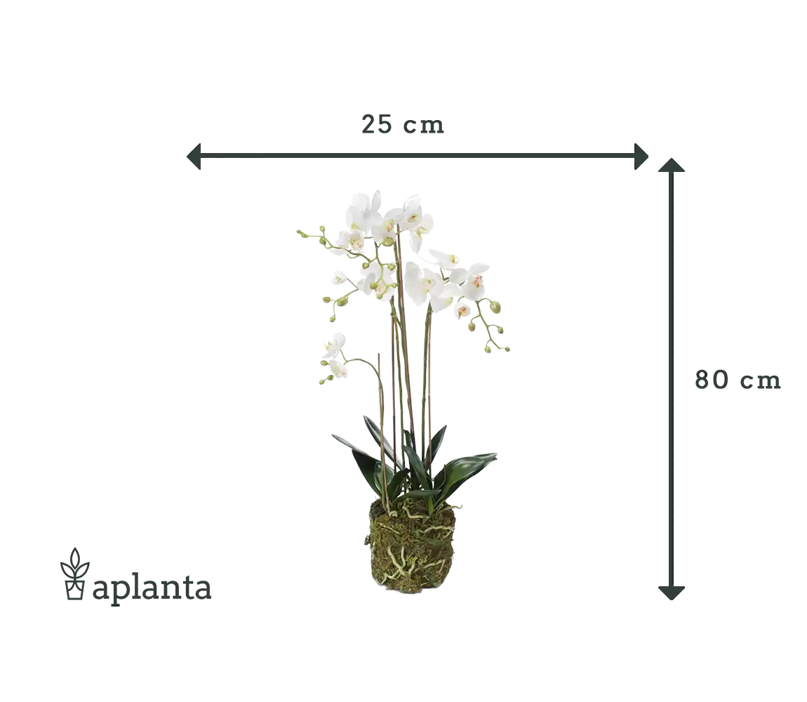Orchidée artificielle - Marie | 80 cm