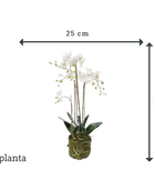 Orchidée artificielle - Marie | 80 cm
