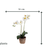 Orchidée artificielle - Nika | 56 cm