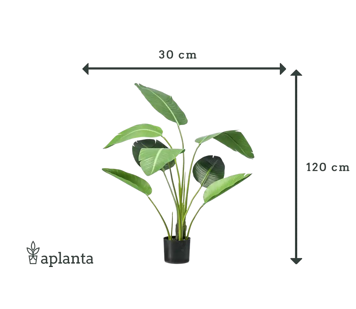 Strelitzia artificiel - Carl | 120 cm