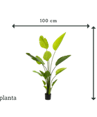 Strelitzia artificiel - Colin | 150 cm