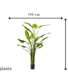 Strelitzia artificiel - Colin | 235 cm