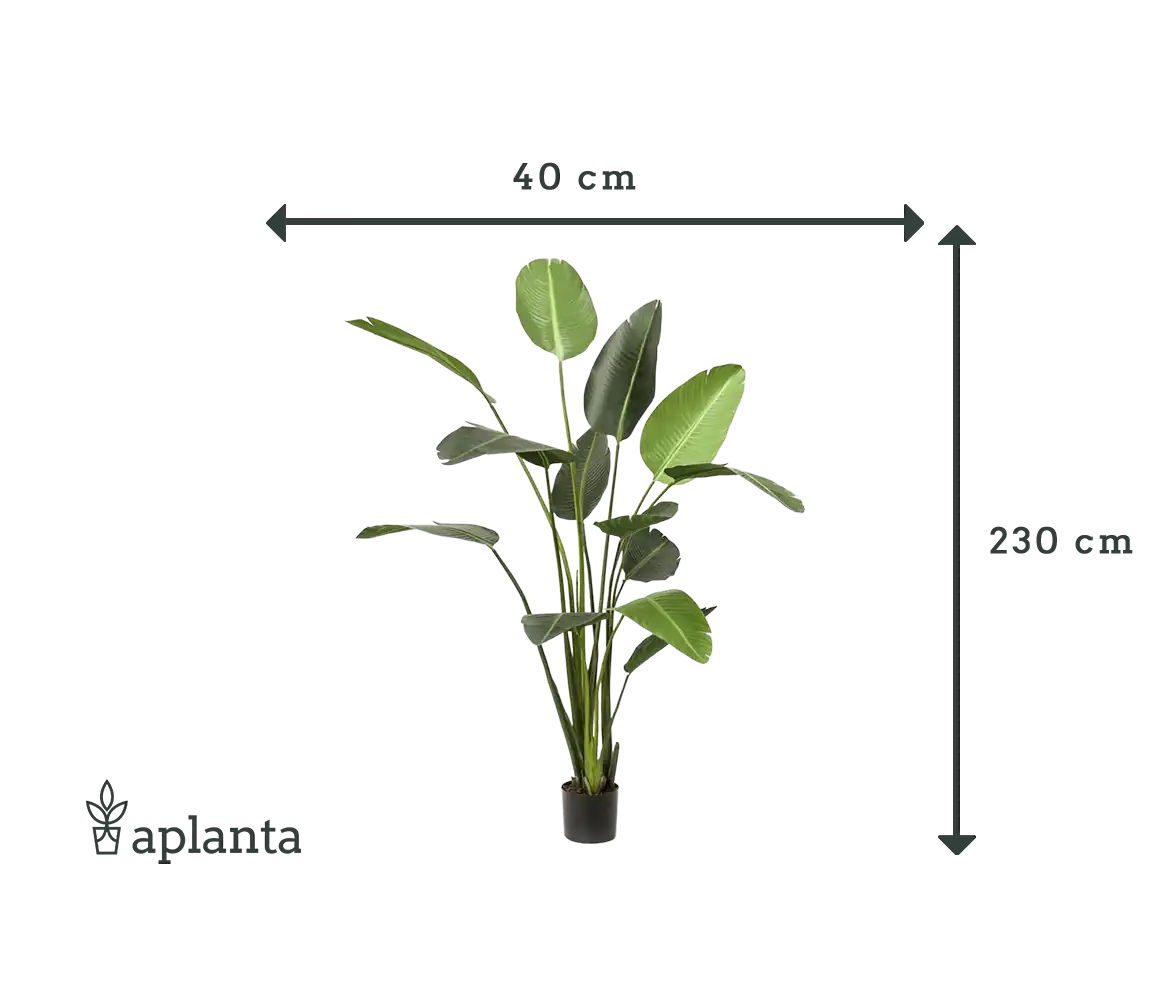 Strelitzia artificiel - Josephine | 230 cm