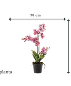 Orchidée artificielle - Liam | 60 cm
