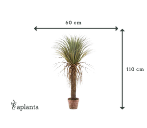 Palmier Yucca artificiel - Kristina | 110 cm