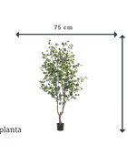 Eucalyptus artificiel - Christopher | 180 cm